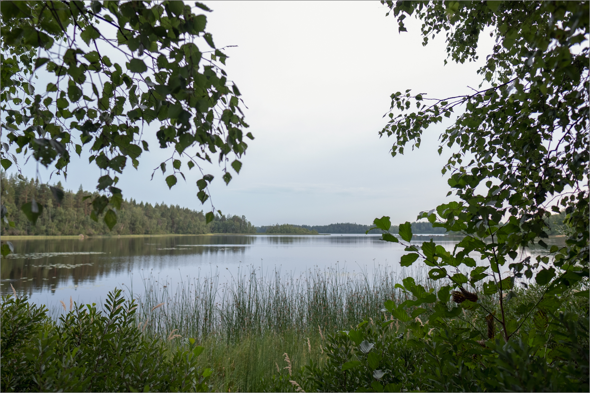 Svensk sø ved Rævemåla